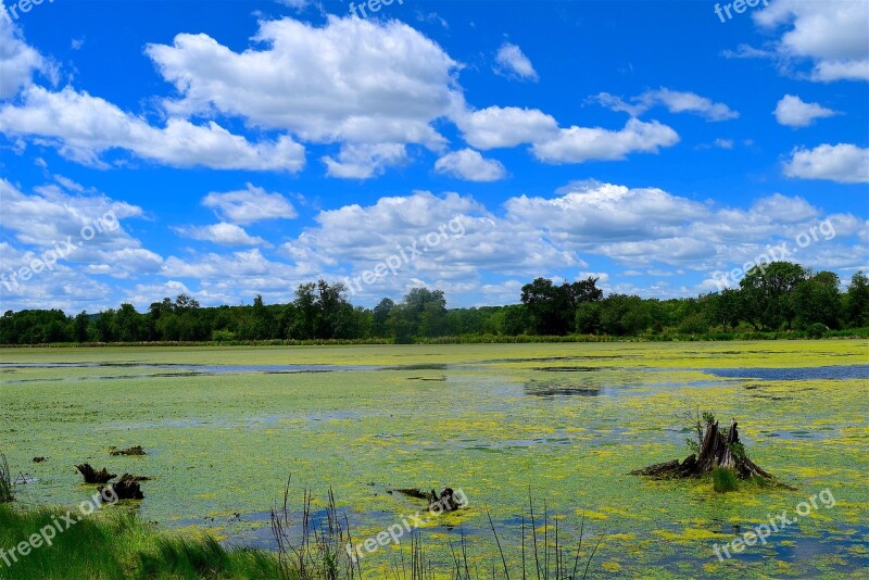 Swamp Clouds Sky Blue Nature