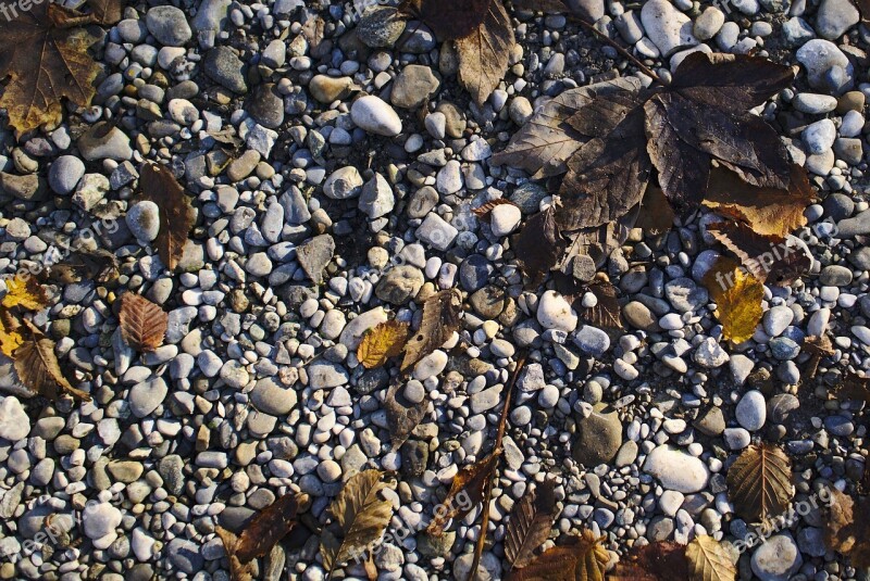 Stones Leaves Autumn Fall Rocks