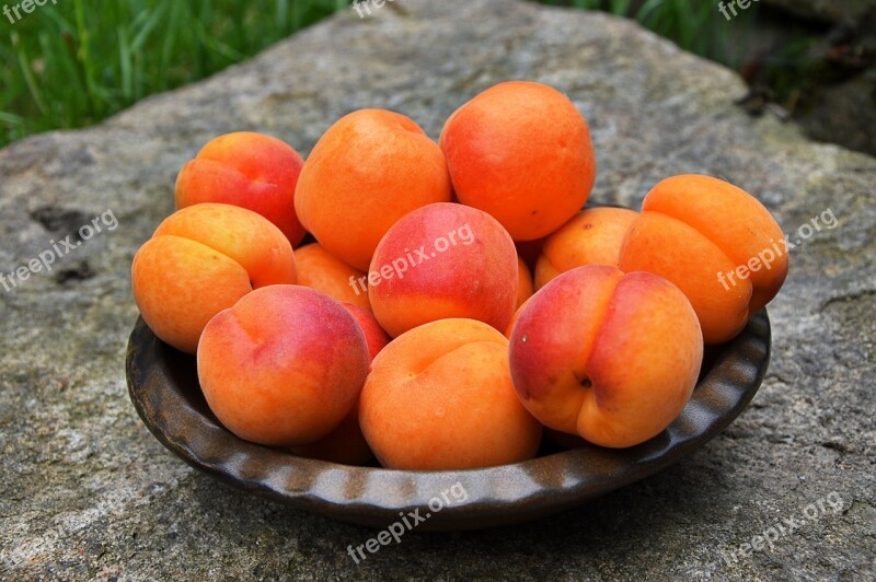 Apricots Fruit Ripe Sweet Free Photos