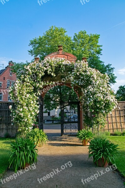 Prince Georgs-garden Darmstadt Hesse Germany Roses