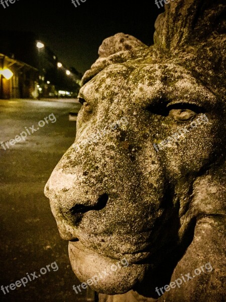 Lion Amsterdam Statue Reiter Horse