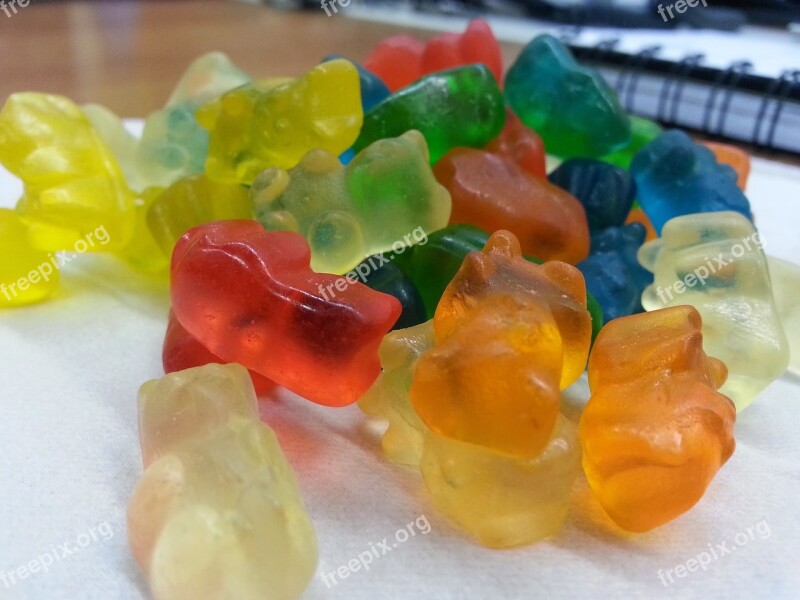 Finni Gum Teddies Free Photos