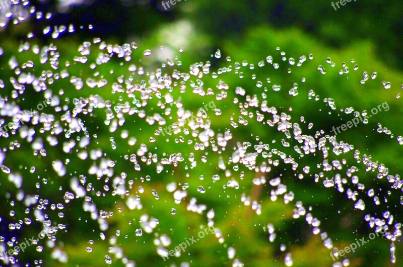 Water Fountain Natural Japan Green