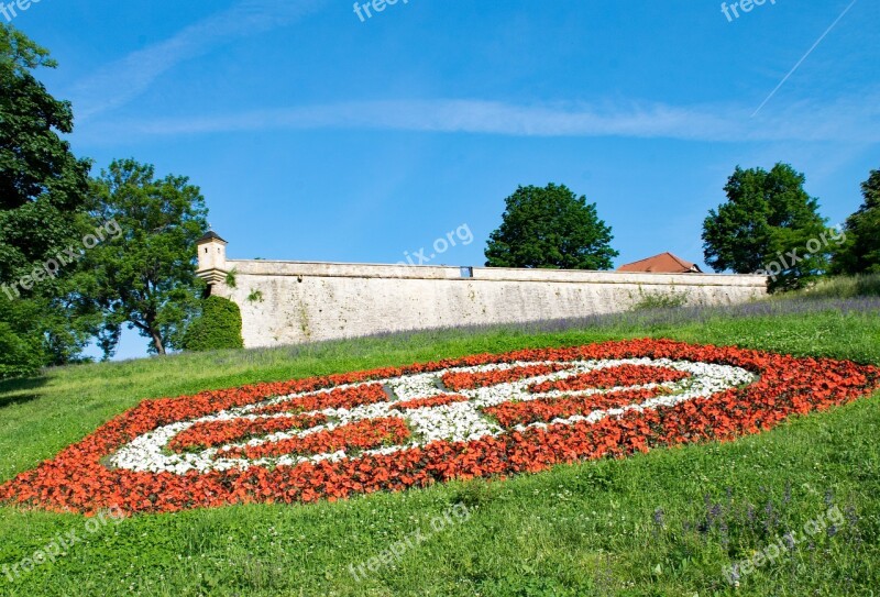 Petersberg Erfurt Thuringia Germany Germany Flowers