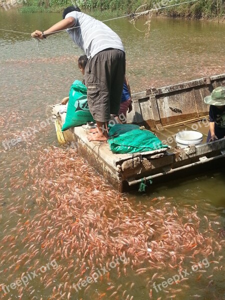 Feed Fish It Throat Free Photos