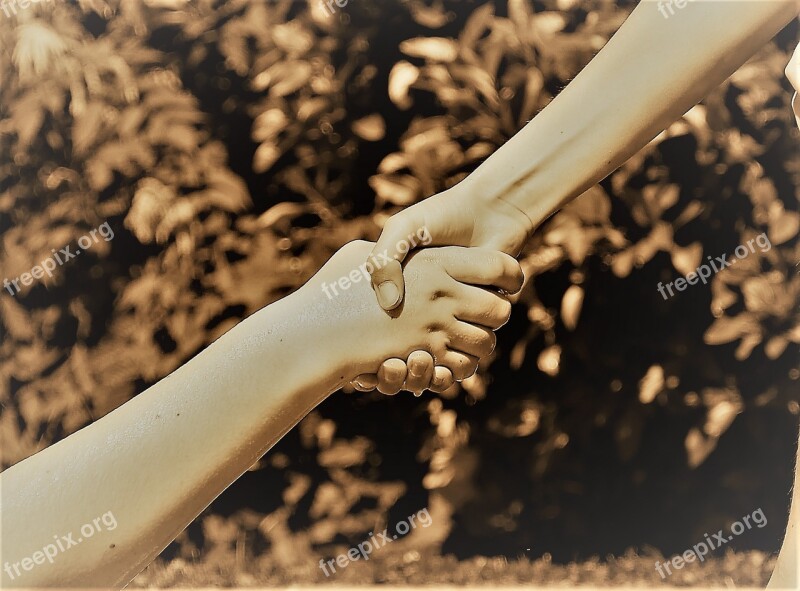 Hands Friendship Help Together Love