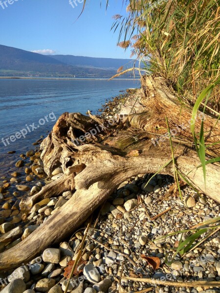 Brine Neuchâtel Switzerland Free Photos