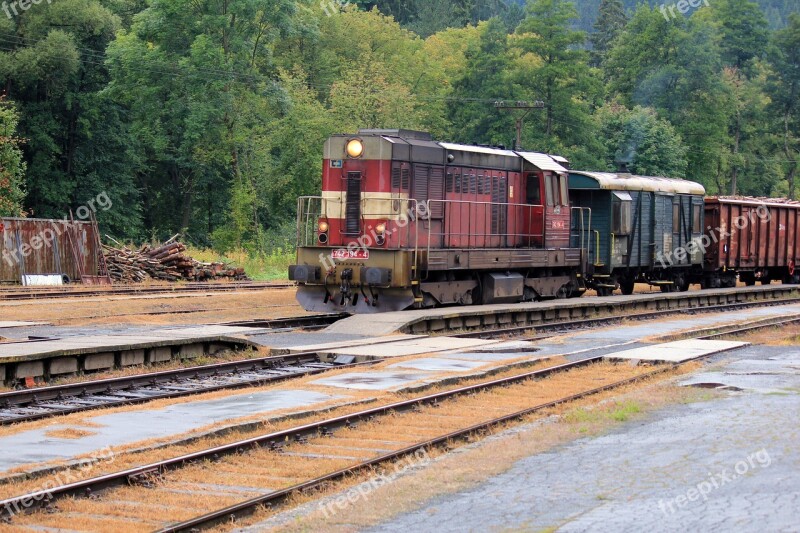 Train Forest Station Freight Train Free Photos