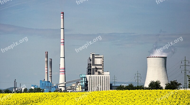 Biofuel Power Station Rapeseed Alternative Energy Sources Energetics