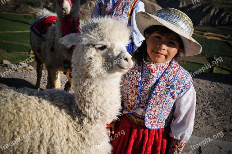 Peru The Colca Valley Inca Ande Little Girl