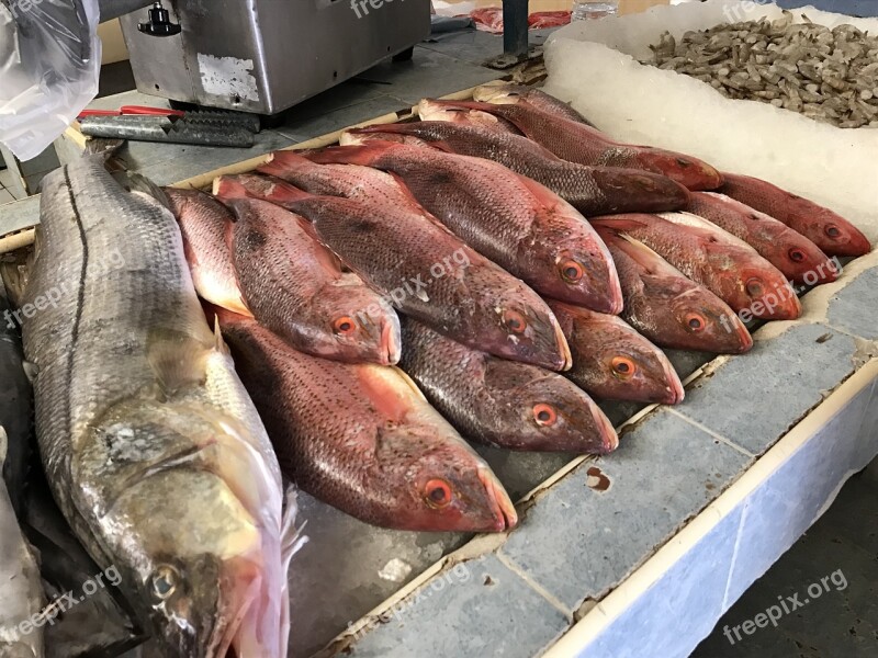 Fish Market Fresh Market Fishing Food