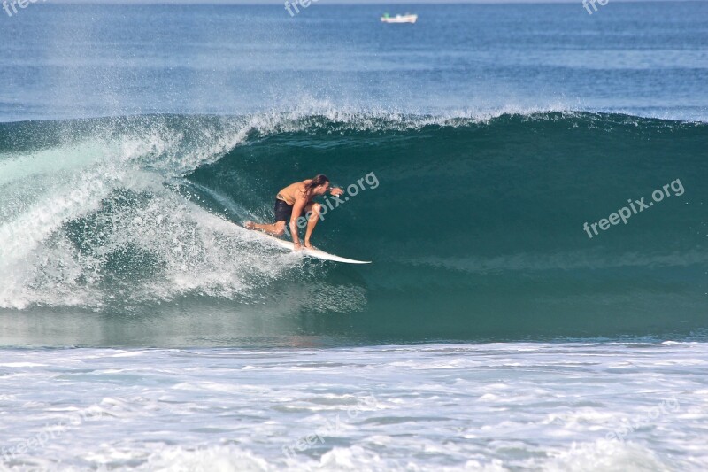 Surf Sea Carver Free Photos