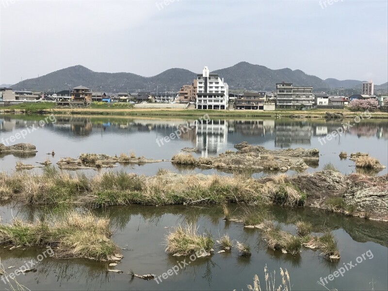 Japan Nagoya Dog Mountain Free Photos