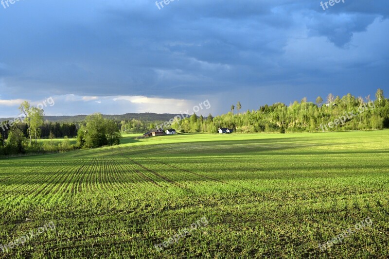 Field Storm Clouds Landscape Storm Clouds