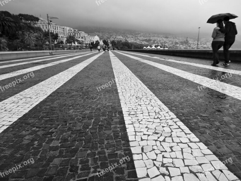 Funchal Cr7 Museum Free Photos