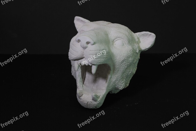 Figurine View Cat Wild Cat Predator