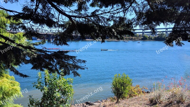 River View Dragon Boats Water Landscape Boat