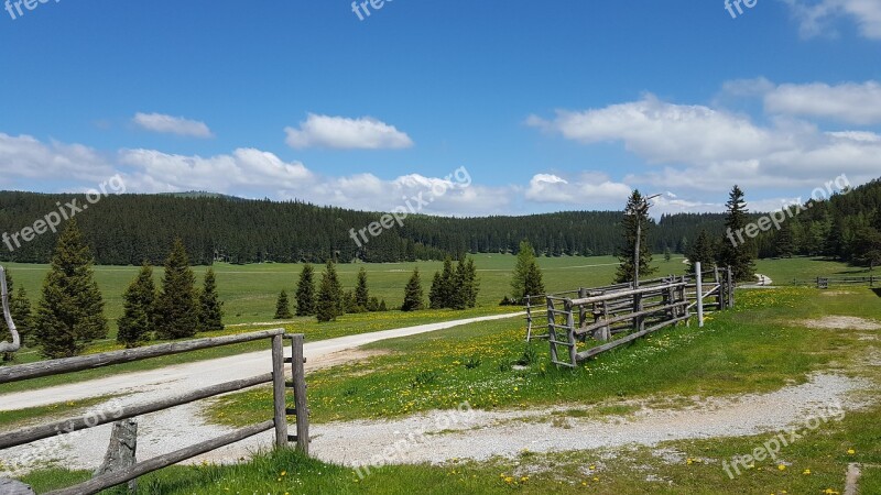 Alm Meadow Landscape Mountains Nature