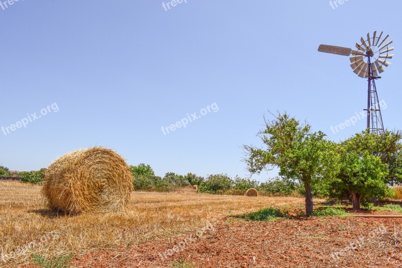 Farm Trees Countryside Agriculture Landscape