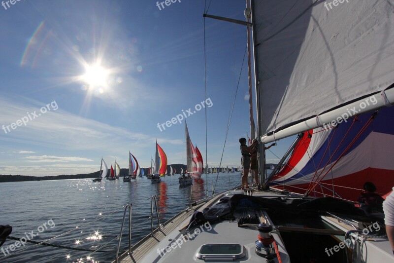 Sailing Regatta Free Photos