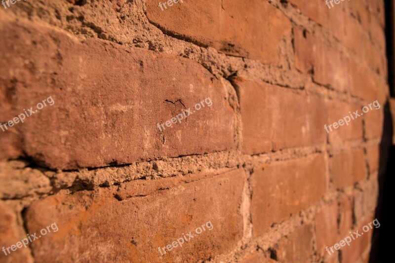 Wall Nu Brick Free Photos