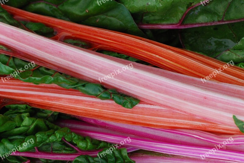 Rhubarb Bunch Of Rhubarb Pink Red Summer