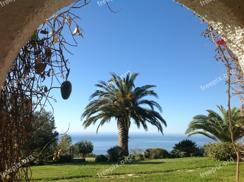 Landscape Palm Tree Arc Sea Free Photos