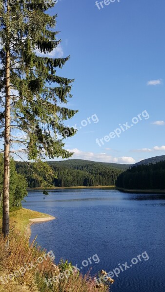 Lake Fir Tree Water Reservoir Forest