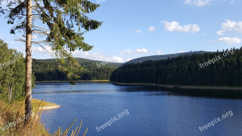 Lake Fir Tree Water Reservoir Forest