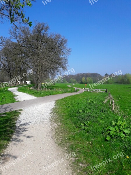 Path Summer Nature Green Landscape