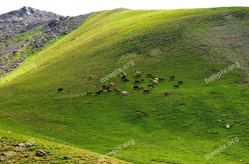 Kaçkars Nature Landscape Green Mountain