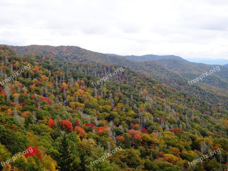 Indian Summer Great Smoky Mountains Autumn Forest Colorful