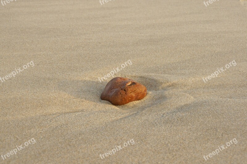 Sand Beach Stone Washed Up On Sunrise