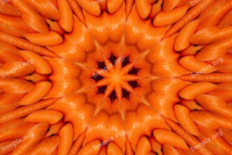 Carrots Symmetry Orange Art Free Photos