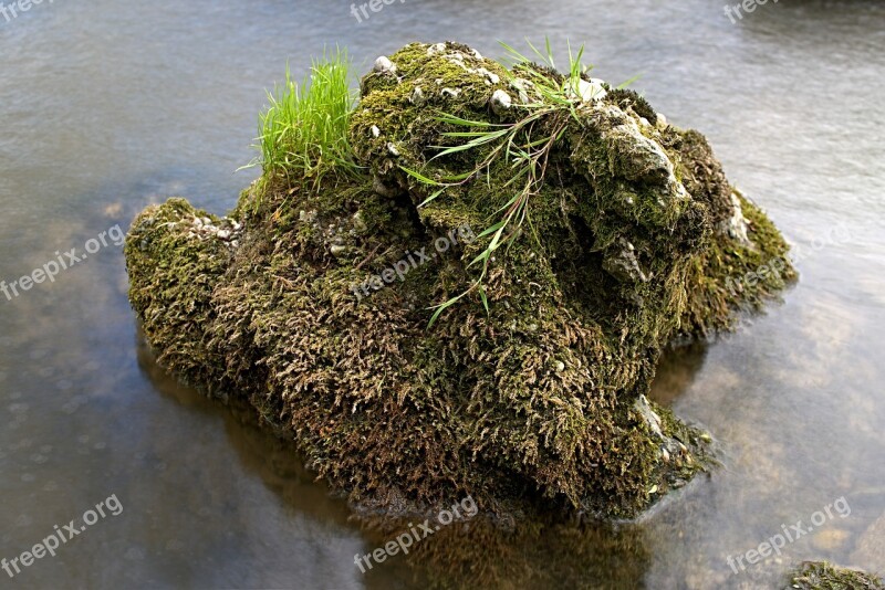 Long Time Exposure River Stone Grasses Water