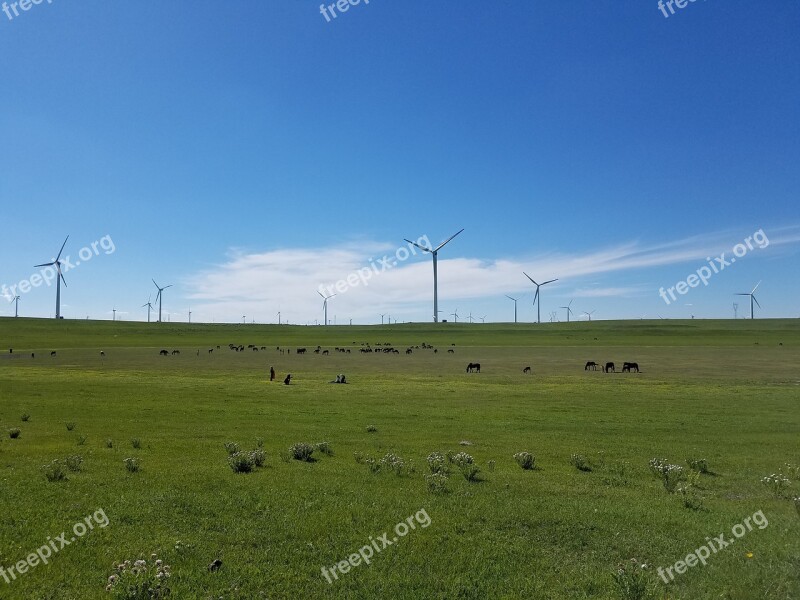 Blue Sky Fresh Air Cloud Free Photos