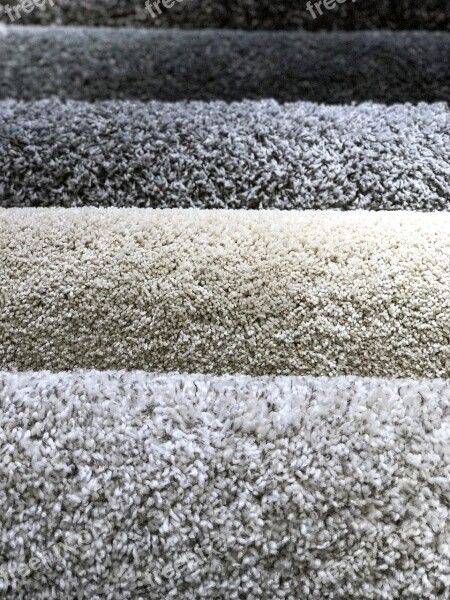 Carpets Interior Home Design Home Interior