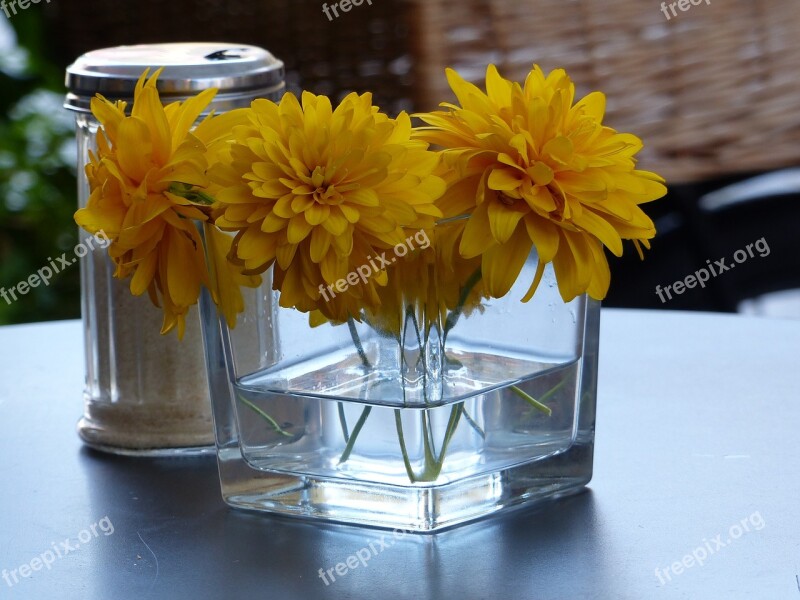 Nice Ambience Table Flowers Blossom Sugar Free Photos