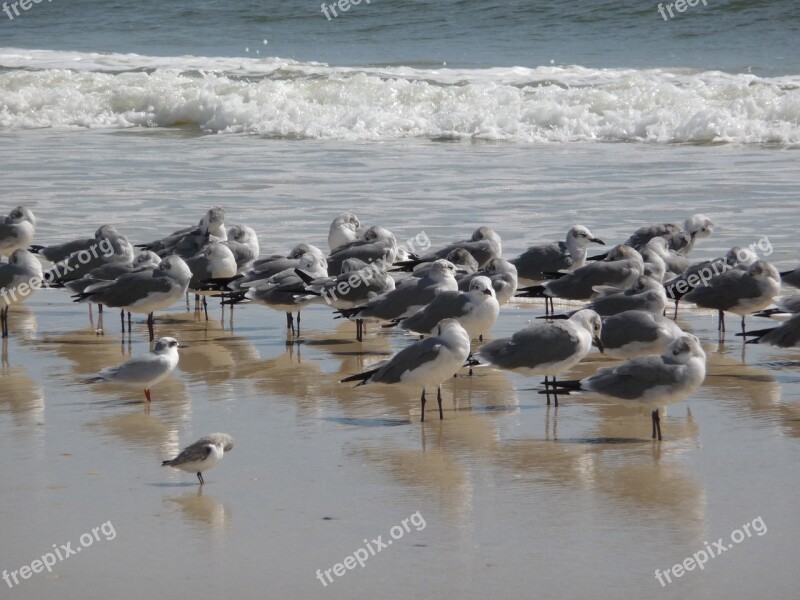 Seashore Beach Winter Sea Sand