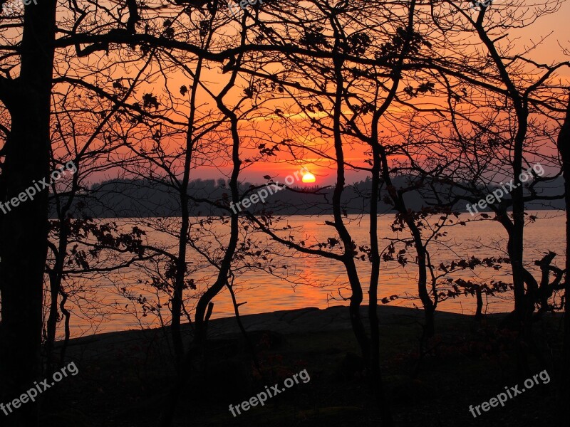 Sunset Halland Nature Lake Tree