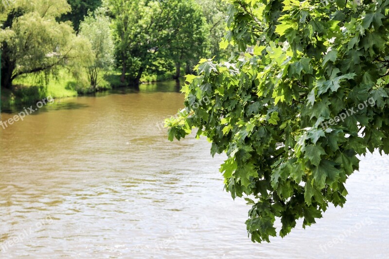 River Tree Landscape Nature Water