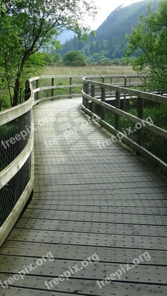 Boardwalk Wavy Planks Handrail Free Photos