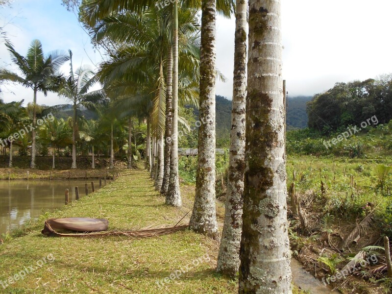 Nature Rio Dos Cedros Santa Catarina Institute Carmelite Free Photos