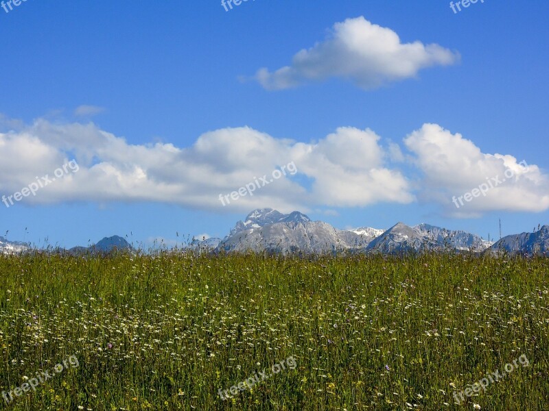 Meadow Mountains Landscape Nature Grass