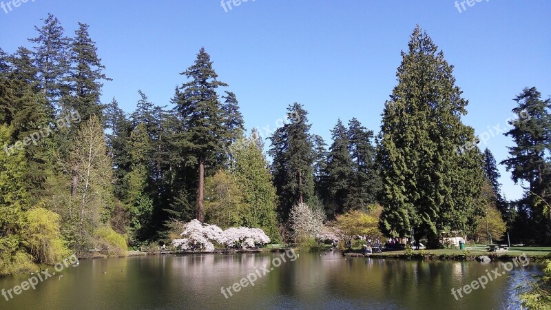 Foreign Countries Park Sunny Pond Canada