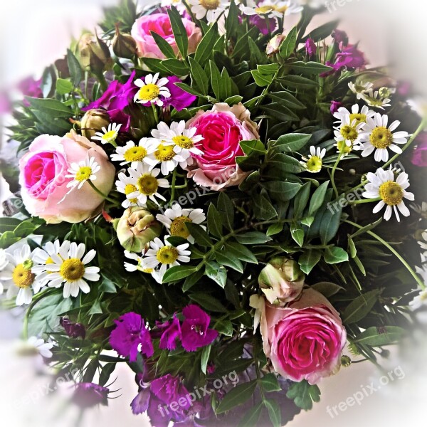 Bouquet Pink Red Roses Small Daisies White Purple Summer Flowers