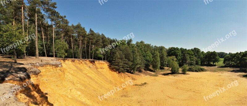 Sand Stone Conifers Forest Hünsberg Coesfeld