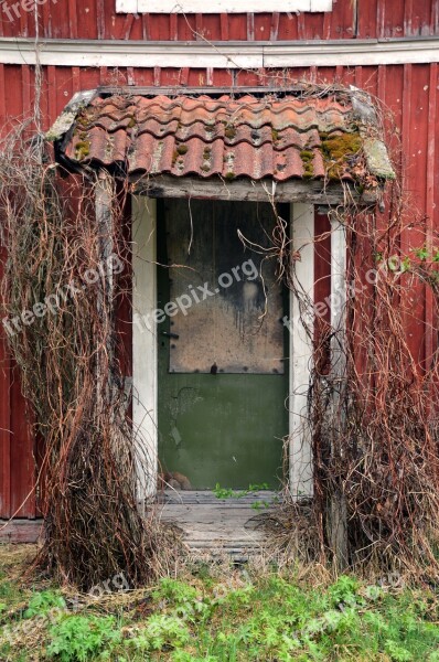 Old Door Red Summer Antique