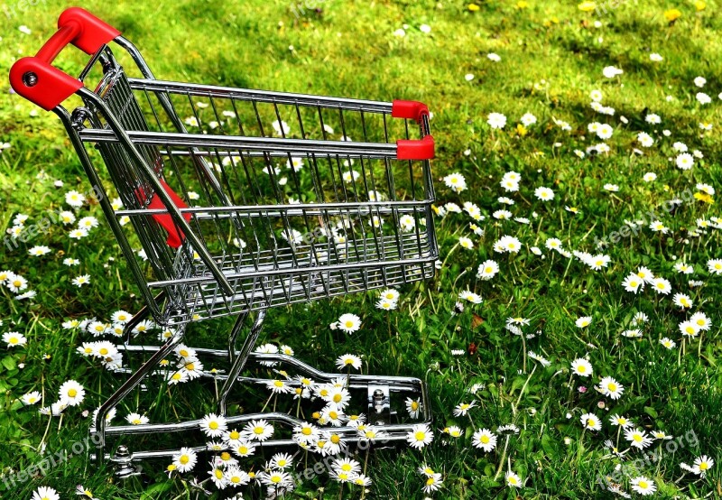 Shopping Shopping Cart Sale Meadow Daisy