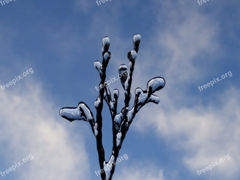 Frozen Branch Sky Frost Ice Blue